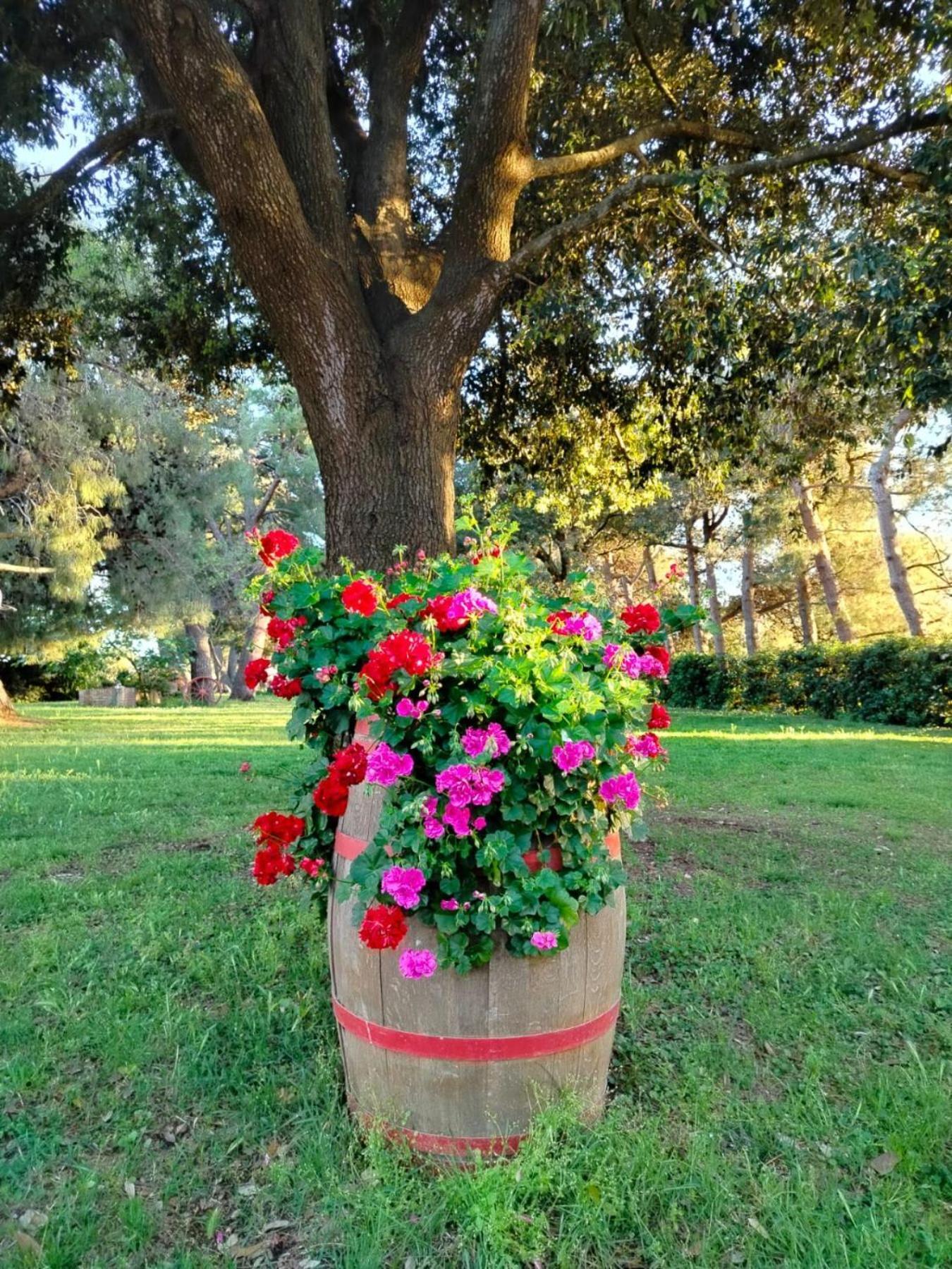 הוילה קסטנייטו קרדוצ'י I Cavalleggeri מראה חיצוני תמונה